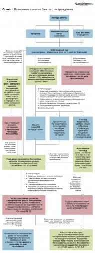 Возможные сценарии банкротства гражданина.jpg