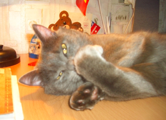 IMGP0029.JPG